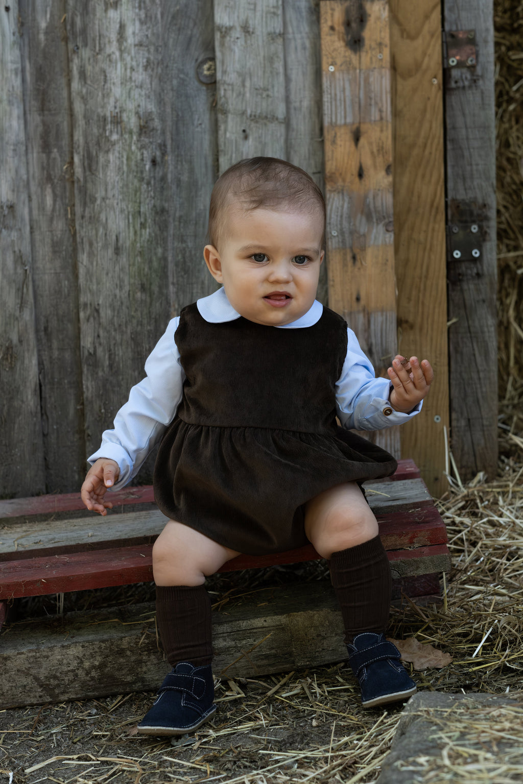 Fofo Noah
