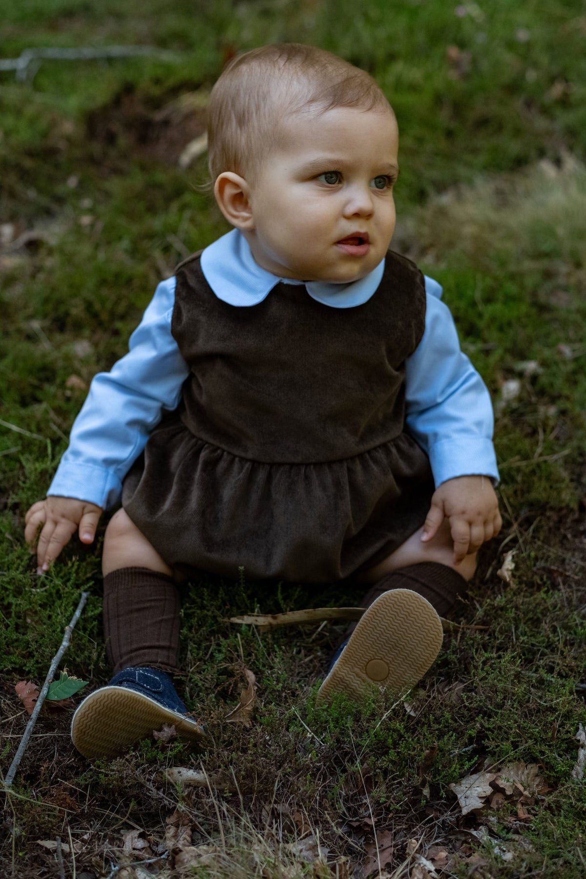 Fofo Noah